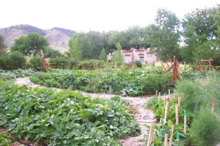 A Menu of Organic Fertilizers Image